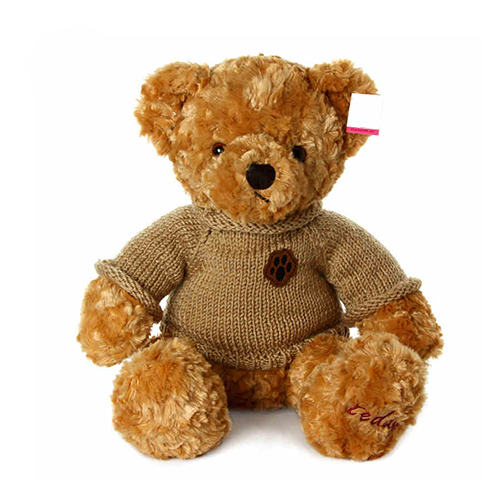 9寸坐棕衣泰迪熊